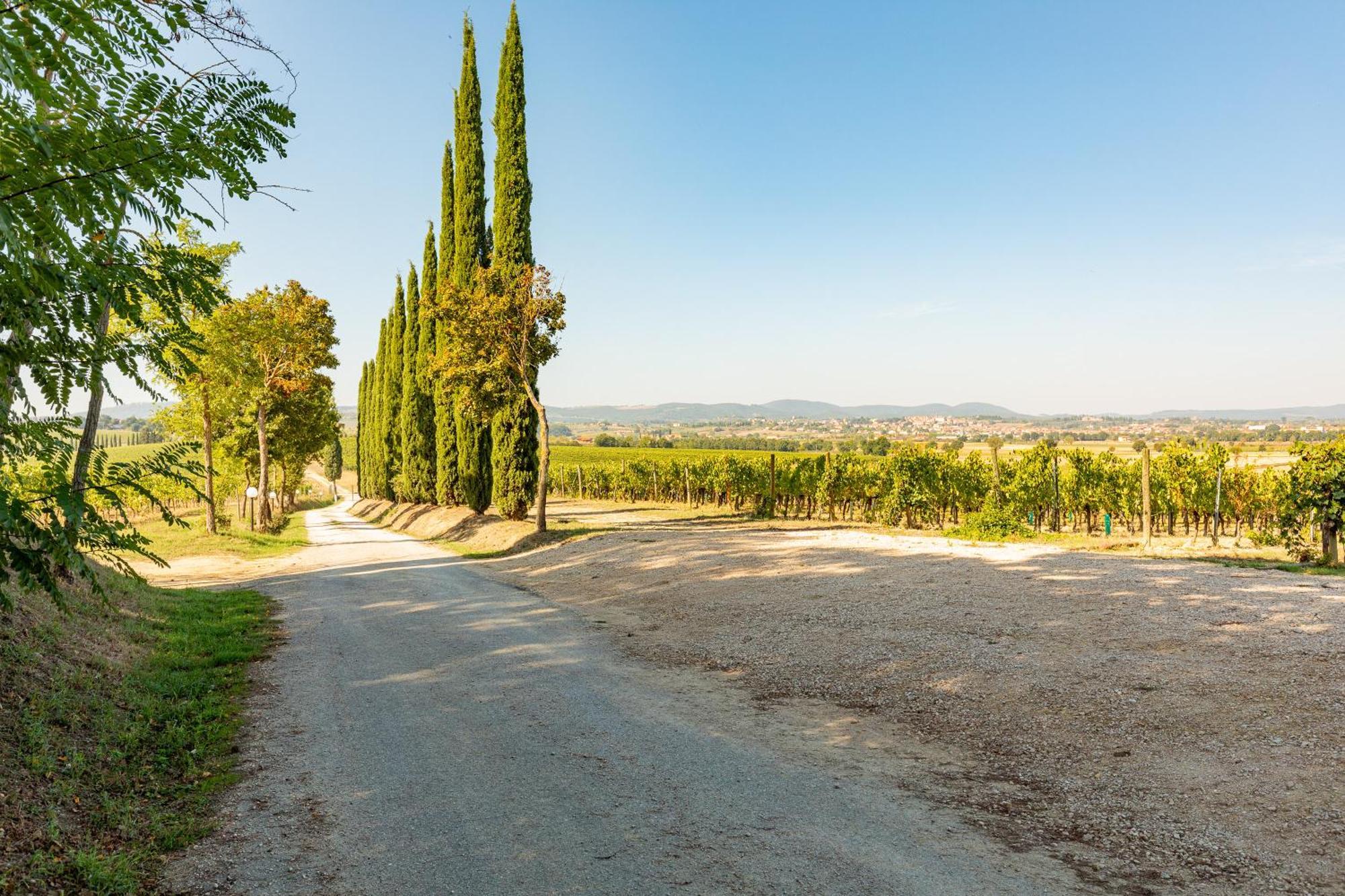 Prugnolo Villa Montepulciano Stazione Екстериор снимка